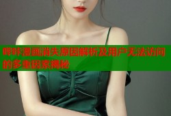 哔咔漫画消失原因解析及用户无法访问的多重因素揭秘