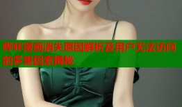 哔咔漫画消失原因解析及用户无法访问的多重因素揭秘