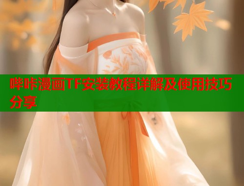 哔咔漫画TF安装教程详解及使用技巧分享