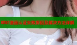 哔咔漫画认证失败原因及解决方法详解