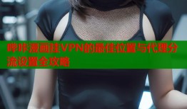 哔咔漫画挂VPN的最佳位置与代理分流设置全攻略