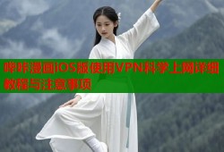 哔咔漫画iOS版使用VPN科学上网详细教程与注意事项