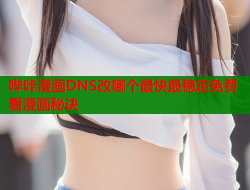 哔咔漫画DNS改哪个最快最稳定免费看漫画秘诀