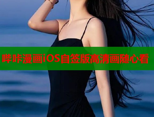哔咔漫画iOS自签版高清画随心看
