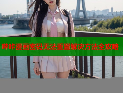 哔咔漫画密码无法重置解决方法全攻略